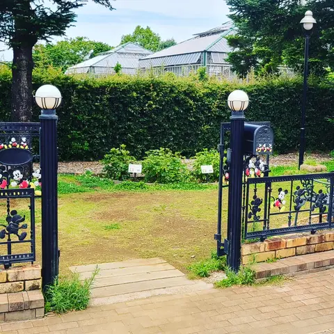 2023年6月5日 京成バラ園 Part1