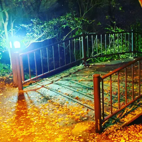 お月見公園ベストショット