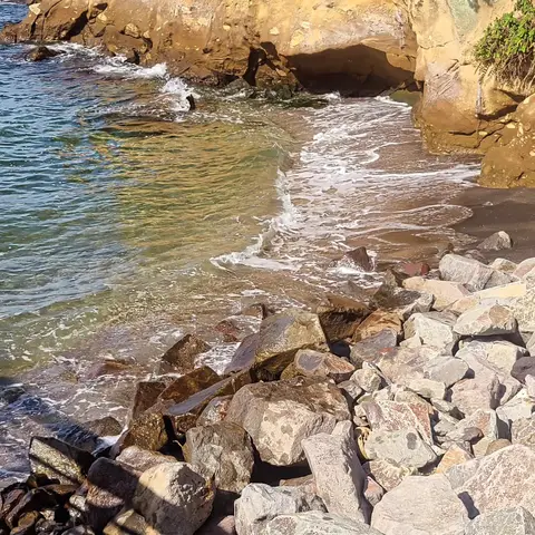さらば猿島、また来ます