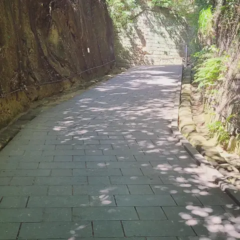 猿島散策 Part1