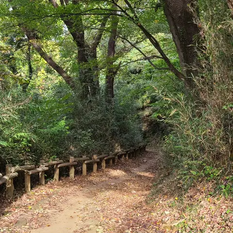長沼公園散策（下山）