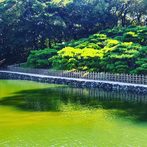 2023年9月4日 栗林公園 Part3