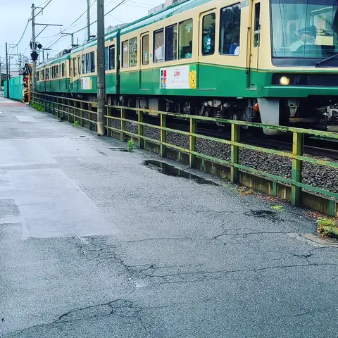 #あじさい巡り  #紫陽花旅