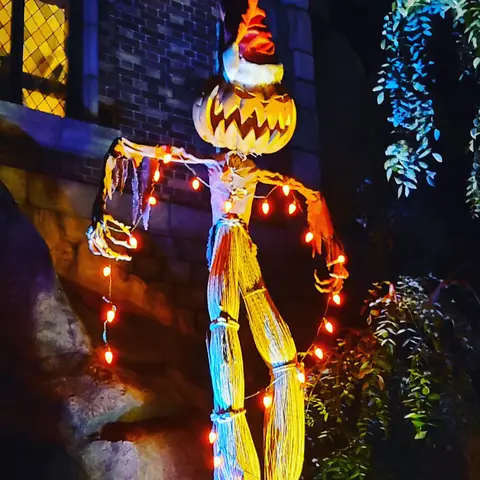 #東京ディズニーランド  #ディズニー
