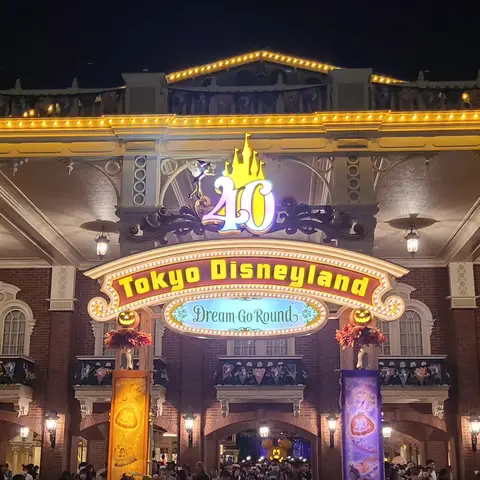 #東京ディズニーランド  #ディズニー