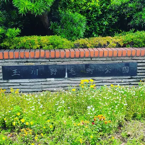 2023年6月1日 玉川野毛町公園