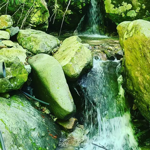 （スーパースローモーション映像付）
