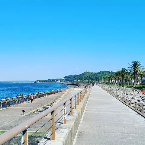 2023年4月9日 走水水源地公園周辺