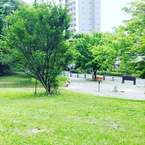 2022年6月 うずまき公園