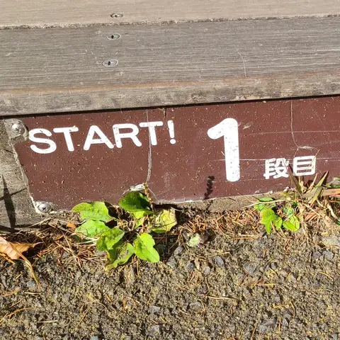 霧降高原カウントダウン（1~900段）