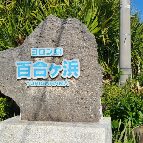 ヨロン島: 百合ヶ浜（動画付き）