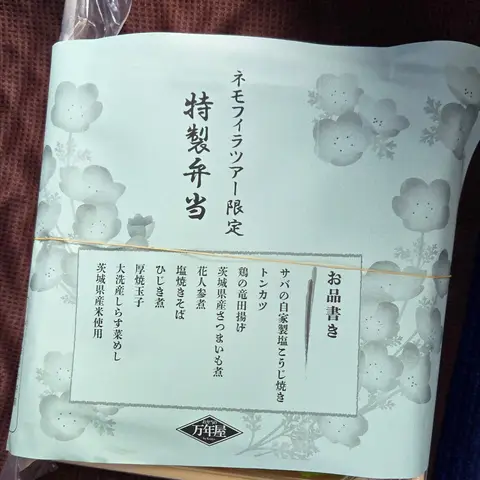HISツアー特製お弁当