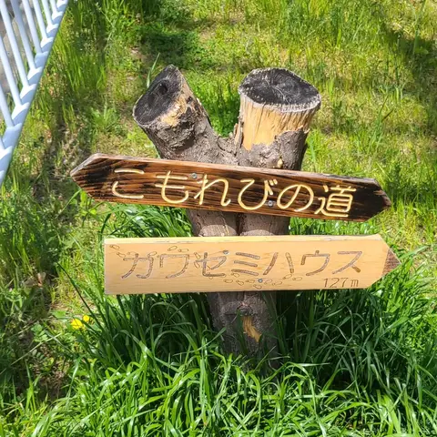 こもれびの道（カワゼミハウス）