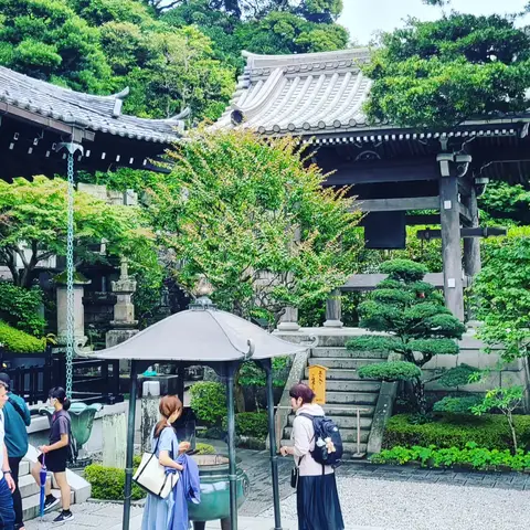 #あじさい巡り  #紫陽花旅