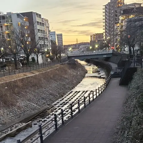 乞田川沿い散歩（朝焼け）