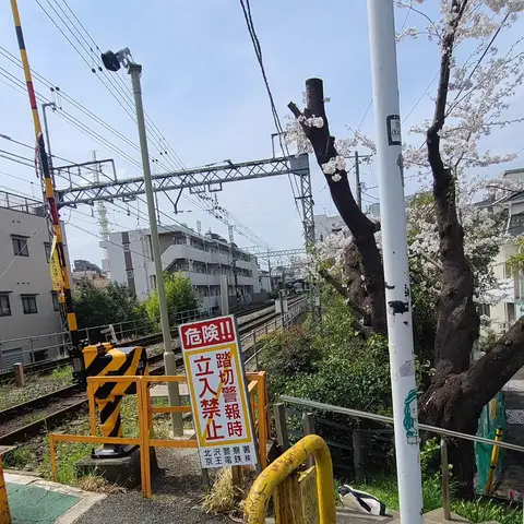 京王線井の頭線散歩（with 踏切&桜）