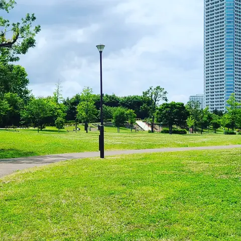 2023年6月1日 日本庭園