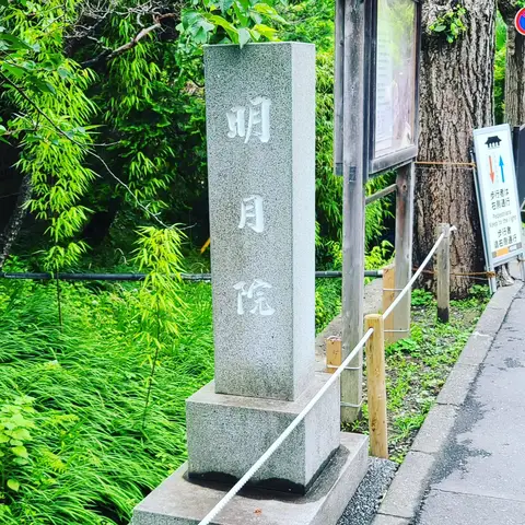 #あじさい巡り  #紫陽花旅