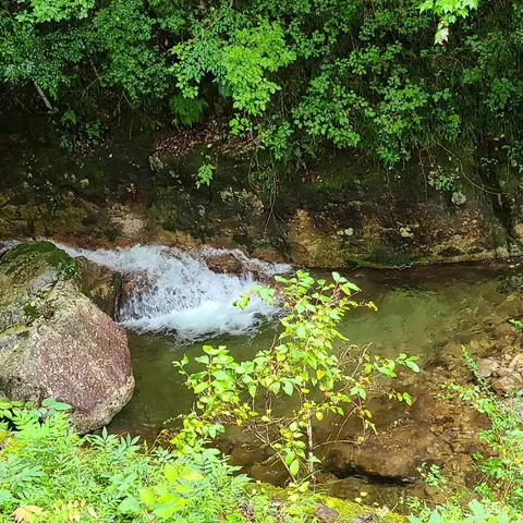 金山巨石群県指定史跡岩屋岩蔭遺跡＆好奇の階段下せせらぎ