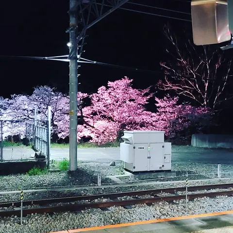 2023年3月29日 甲斐常葉駅ホーム