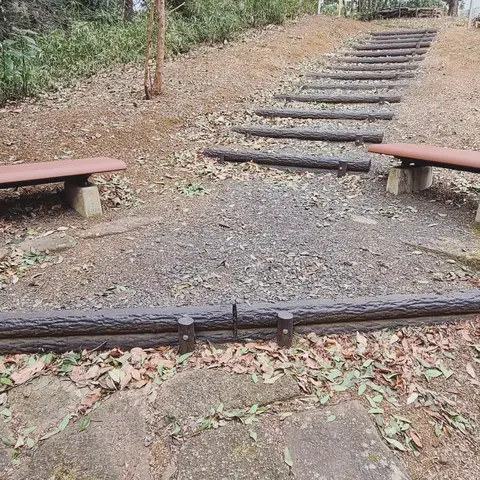 #大学散策