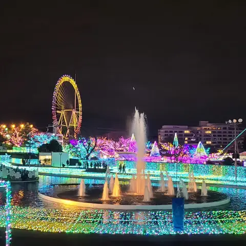 ライトアップ（プールWAI in よみうりランド）