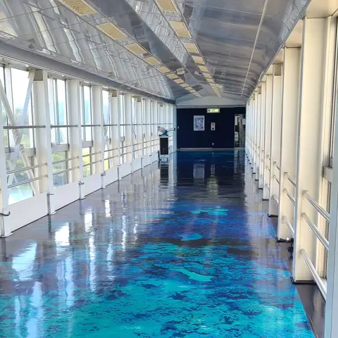 沼津港大型展望水門 びゅうお（展望エリア）