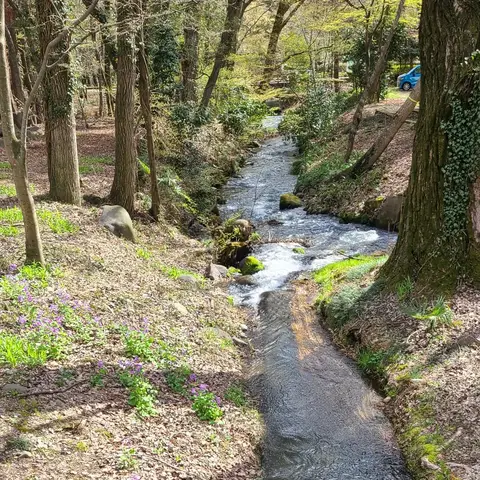 万力公園内部と周辺