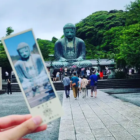 #あじさい巡り  #紫陽花旅