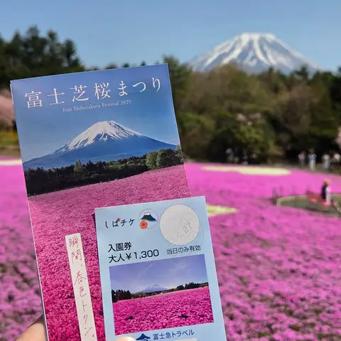 富士芝桜祭り参戦
