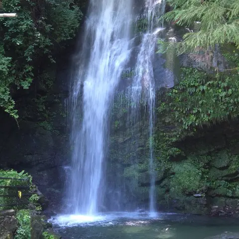 びわの滝 （祖谷のかずら橋の隣の穴場）