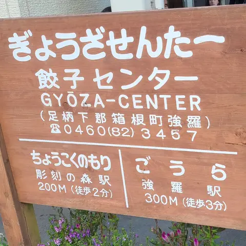 #ロマンスカーで向かう箱根登山電車旅