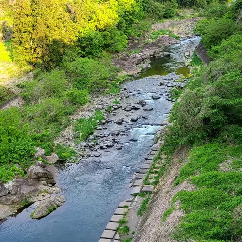 大月大橋（富士山）