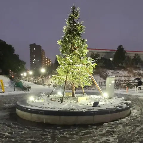 若葉台の夜（雪の日）