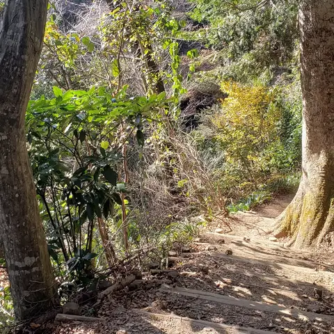 高尾山登山中