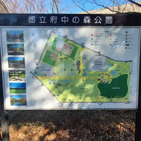 都立府中の森公園