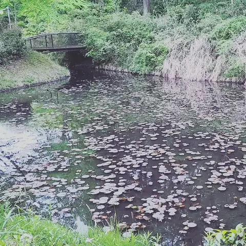 2023年4月19日 大平公園