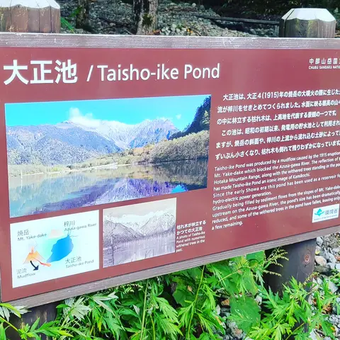 #大正池  #上高地