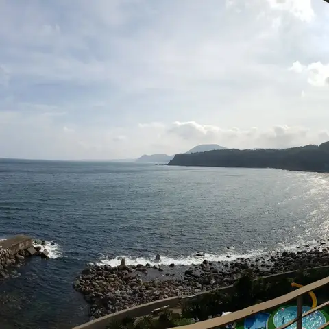 伊豆の海沿い