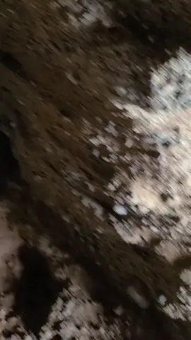 ハミゴーの周辺映像
