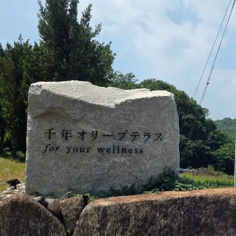 オリーブの丘