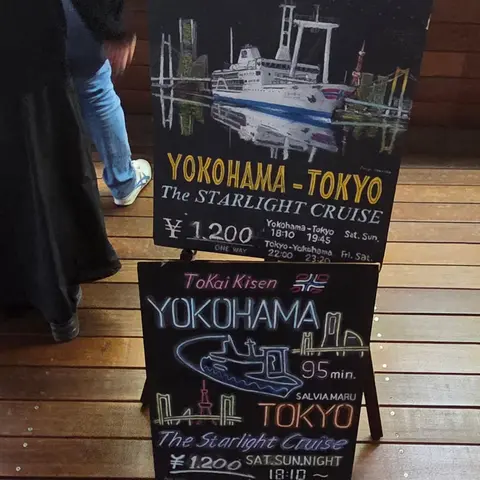 東海汽船 東京湾クルーズ（横浜➝東京）海マジ