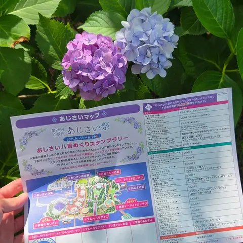 八景島 - あじさい祭り