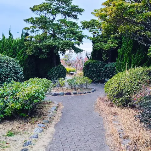 2023年3月1日 海芝公園の夕焼け（海が上手く撮れなかった…）