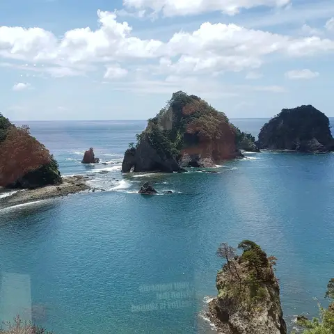 伊豆の海（2）