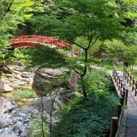 #もみじ橋  #竜神の滝