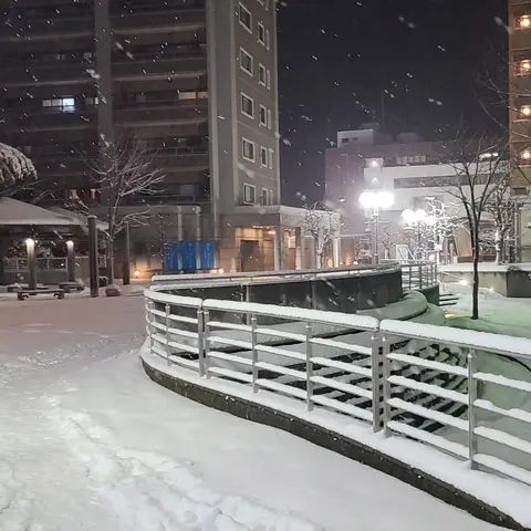 弘前の雪景色