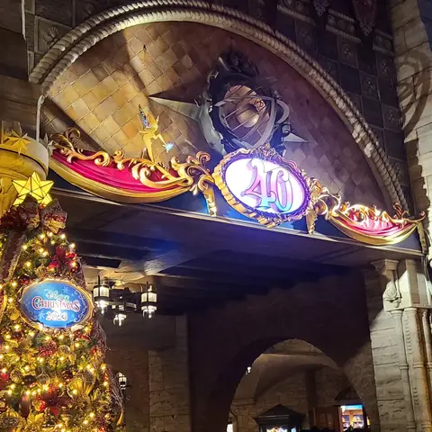 東京ディズニーシー（夜）