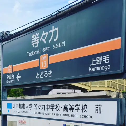 2023年6月1日 等々力渓谷