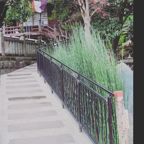2023年3月31日 深大寺
